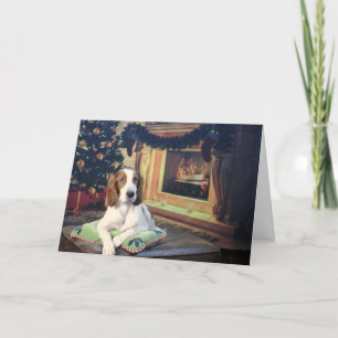 Funny Irish Red and White Setter Holiday Card Kaart