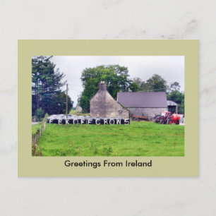 Funny Irish Scarecrow Briefkaart