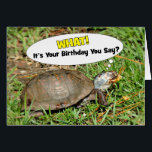Funny Its Your Birthday Box Turtle w/ Popcorn Card<br><div class="desc">Make them laugh with this funny turtle Birthday greeting featuring a Eastern Box Turtle I "caught" with a kernel of popcorn!</div>