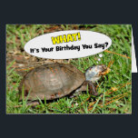 Funny Its Your Birthday Box Turtle w/ Popcorn Card<br><div class="desc">Make them laugh with this funny turtle Birthday greeting featuring a Eastern Box Turtle I "caught" with a kernel of popcorn!</div>