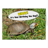 Funny Its Your Birthday Box Turtle w/ Popcorn Card (Devant horizontal)