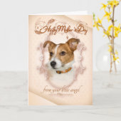 Funny Jack Russell-Moederdag kaart (Gele Bloem)