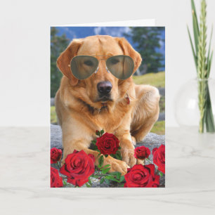 Funny Jubileum voor Wife Golden Labrador Kaart