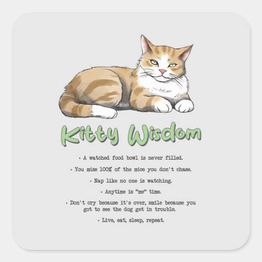 Funny Kat Wisdom Vierkante Sticker (Voorkant)