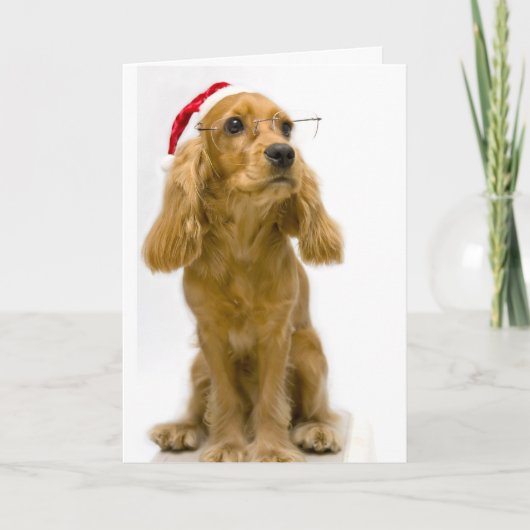 Funny kerstkaart feestdagen kaart (Voorkant)
