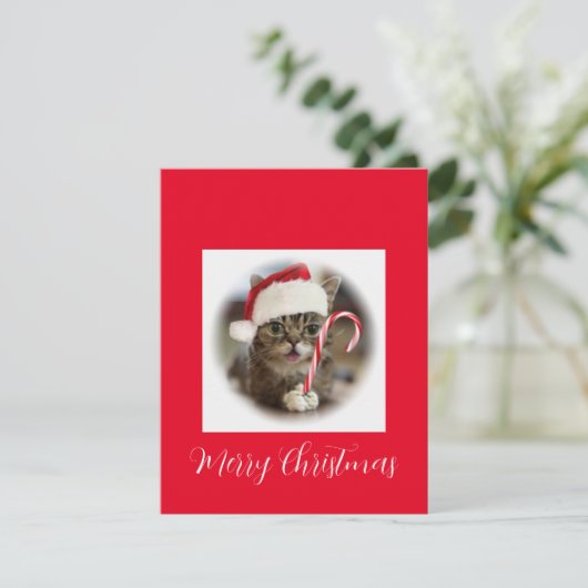 Funny Kerstkat Holding Candy Cane Feestdagenkaart (Staand voorkant)