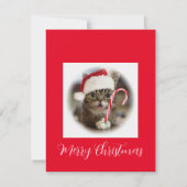 Funny Kerstkat Holding Candy Cane Feestdagenkaart (Voorkant)