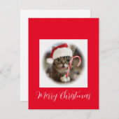 Funny Kerstkat Holding Candy Cane Feestdagenkaart (Voorkant / Achterkant)