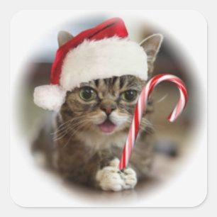 Funny Kerstkat Vierkante Sticker