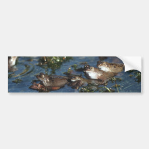 Funny kikkers bumpersticker