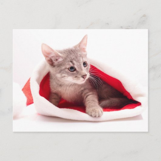 Funny kitten a cap of Santa Claus Feestdagenkaart (Voorkant)