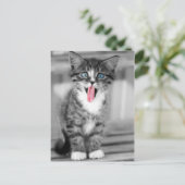 Funny Kitten Briefkaart (Staand voorkant)