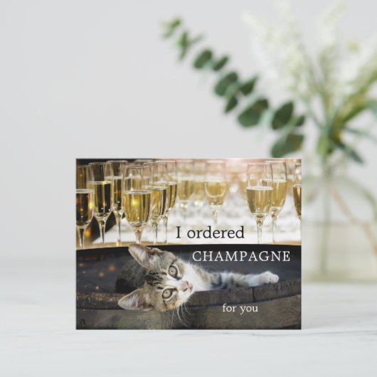 Funny Kitten Cheval Carte postale Anniversaire (Debout devant)