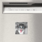 Funny Kitten Magneet (Insitu (Vaatwasser))