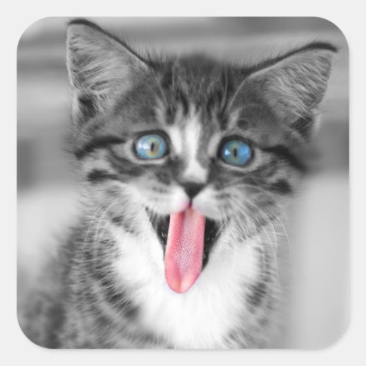 Funny Kitten Vierkante Sticker (Voorkant)