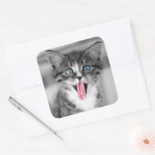 Funny Kitten Vierkante Sticker (Envelop)