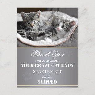 Funny Kittens Birthday Briefkaart