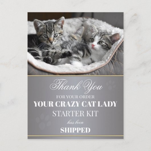 Funny Kittens Birthday Briefkaart (Voorkant)