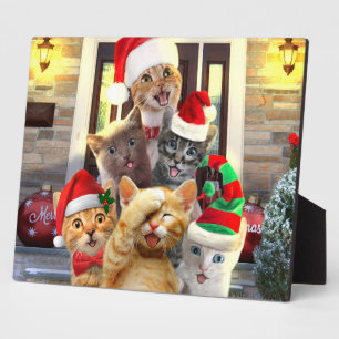 Funny kittens op kerstdag fotoplaat