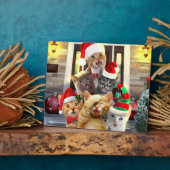 Funny kittens op kerstdag fotoplaat (Zijkant)