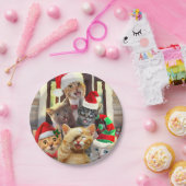 Funny kittens op kerstdag papieren bordje (Feest)