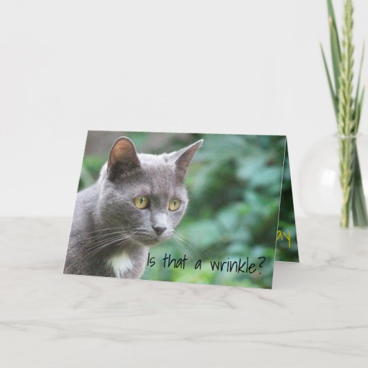 Funny Kitty Cat Kaart (Voorkant)