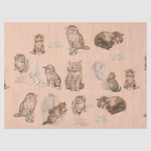 FUNNY KITTY CAT STORIES IN PINK TISSUEPAPIER (Voorkant)