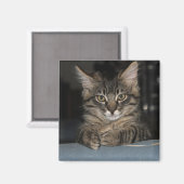 Funny Kitty's "Oh Really ?" Magnet (Recto/Verso)