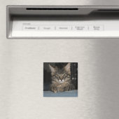 Funny Kitty's "Oh Really ?" Magnet (In Situ (Lave-vaisselle))