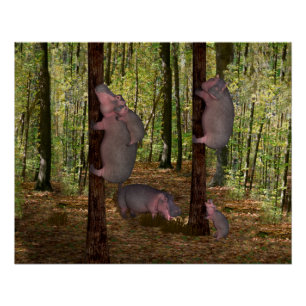 Funny Koala-Wannabe Hippos Perfect Poster