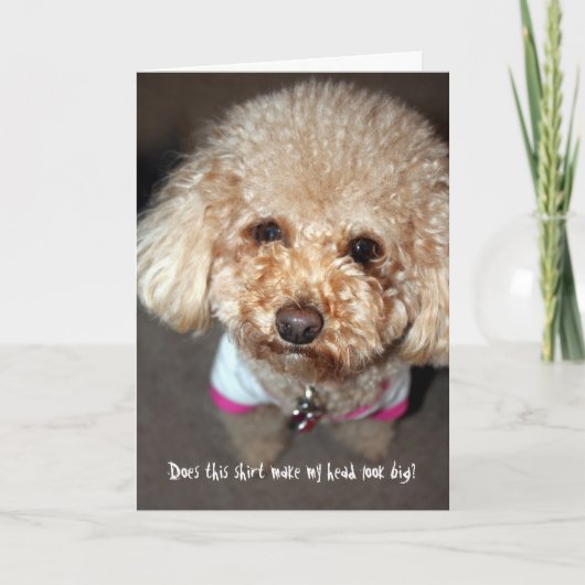 Funny krijgt een goede kaart (Voorkant)