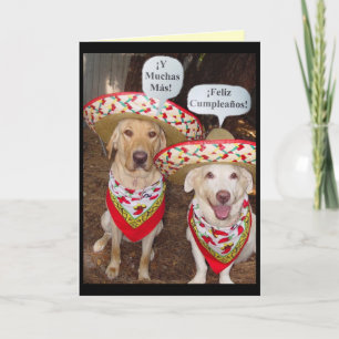 Funny Lab Birthday Card in het Spaans Kaart