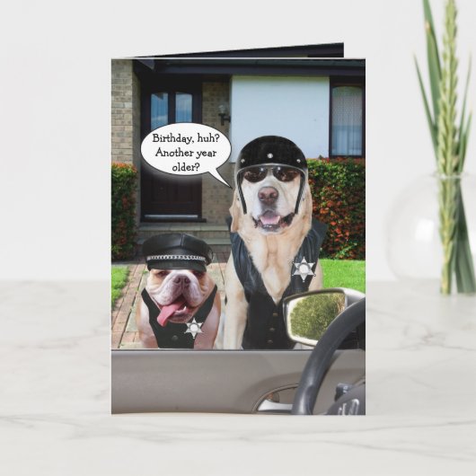 Funny Lab & Bull Dog Officieren Verjaardag Kaart (Voorkant)