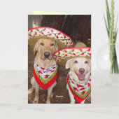 Funny Lab Carte d'anniversaire en espagnol (Dos)