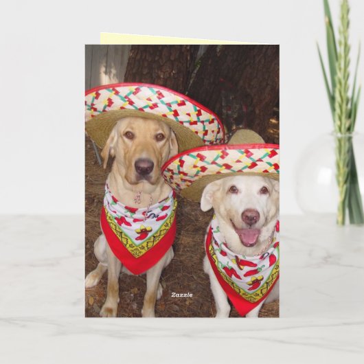 Funny Lab Carte d'anniversaire en espagnol (Dos)