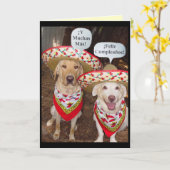 Funny Lab Carte d'anniversaire en espagnol (Fleur jaune)