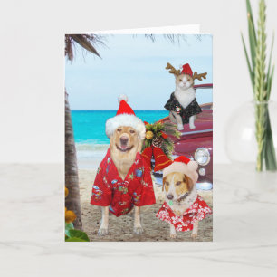 Funny Lab/Dog en Cat Hawaiian/Surfer Kerstmis Feestdagen Kaart