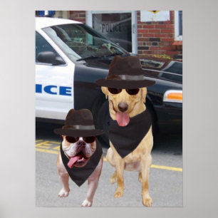 Funny Lab en Bull Dog Poster