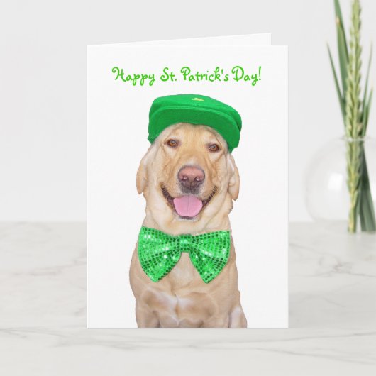  Funny Lab in Groen Kaart (Voorkant)