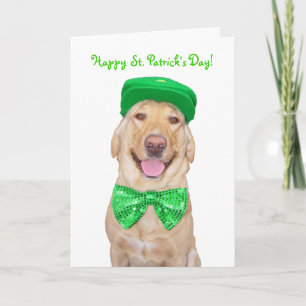  Funny Lab in Groen Kaart