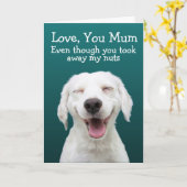 Funny labrador carte d'anniversaire (Fleur jaune)