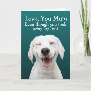 Funny labrador carte d'anniversaire