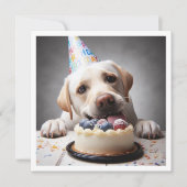 Funny labrador carte d'anniversaire, labrador (Devant)