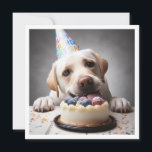 Funny labrador carte d'anniversaire, labrador<br><div class="desc">Une invitation vraiment drôle à picturer un chien du labrador mangeant un gâteau d'anniversaire messily,  une grande invitation pour le labrador et les amoureux de les chiens. Le tekst de la carte peut être entièrement modifié et personnalisé pour répondre à vos besoins.</div>