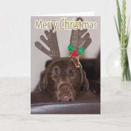 Funny Labrador Glitter Antlers Aangepaste tekst Feestdagen Kaart