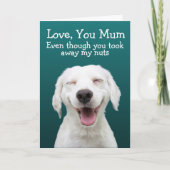 Funny labrador kaart (Voorkant)