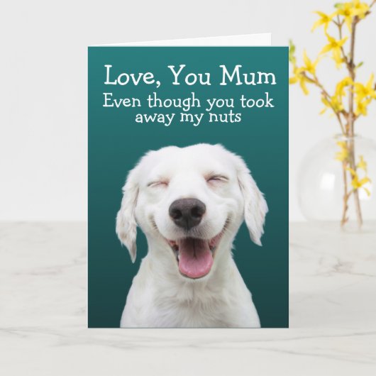 Funny labrador kaart (Gele Bloem)