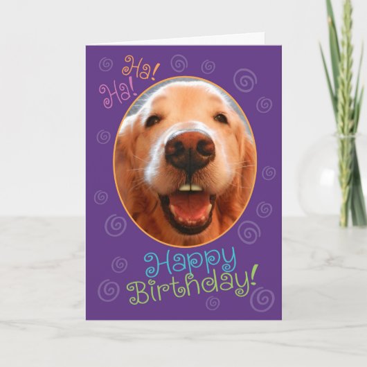 Funny Laughing Golden Retriever Carte d'anniversai (Devant)