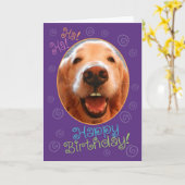 Funny Laughing Golden Retriever Carte d'anniversai (Fleur jaune)