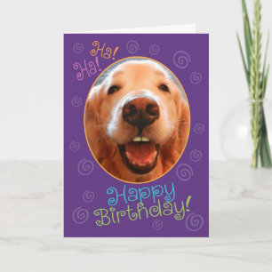 Funny Laughing Golden Retriever Carte d'anniversai
